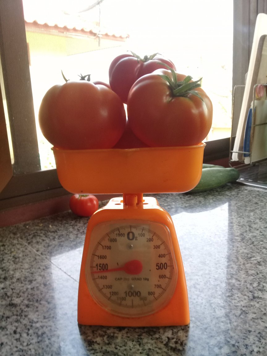 20180319_095636.jpg