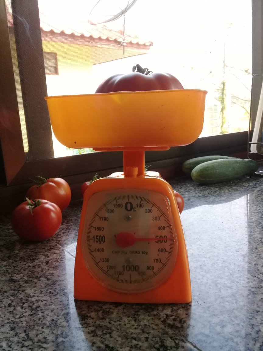 20180319_095656.jpg