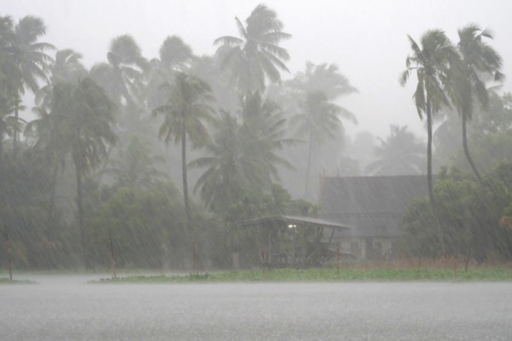 RAINS IMAGE.jpg