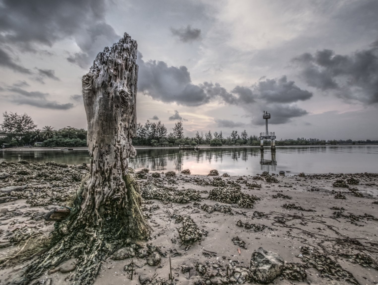 Low Tide and Decay TV.jpg
