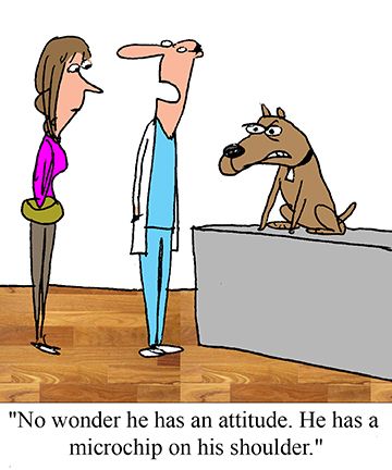 5aab6c1b95fce_dogbad-attitude.jpg.97b3a81d1b8db27583f2712d326c0ef6.jpg