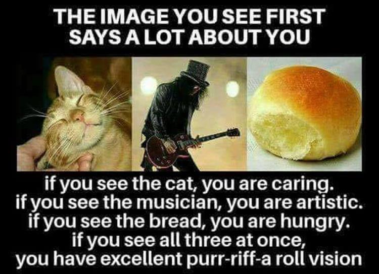 5ab35d8f74837_purrriffaroll.jpg.fd6ca7ac35528e7bd4dba35b15744ec1.jpg