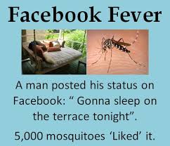 5ab5fd3928d98_facebookmosquito.jpg.c337e02cffe85efa5ced92109b97cb78.jpg