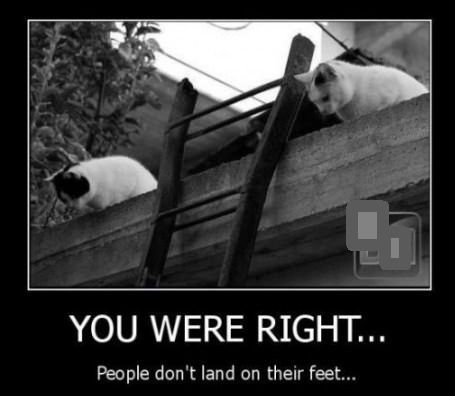 Evil-Cats.jpg.0dd0721793327556ef1f3e63b793c05d.jpg