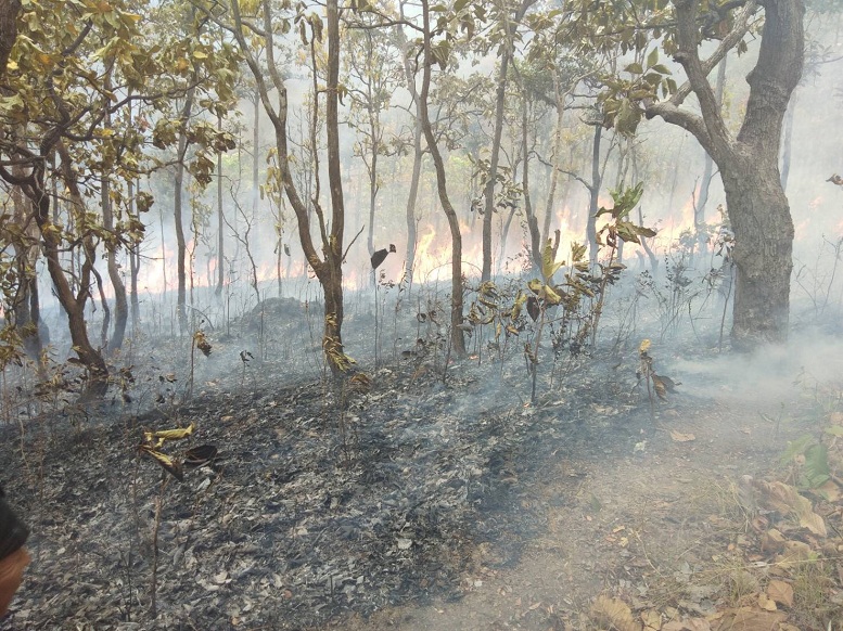 Huay-Tung-Tao-Fire.jpg