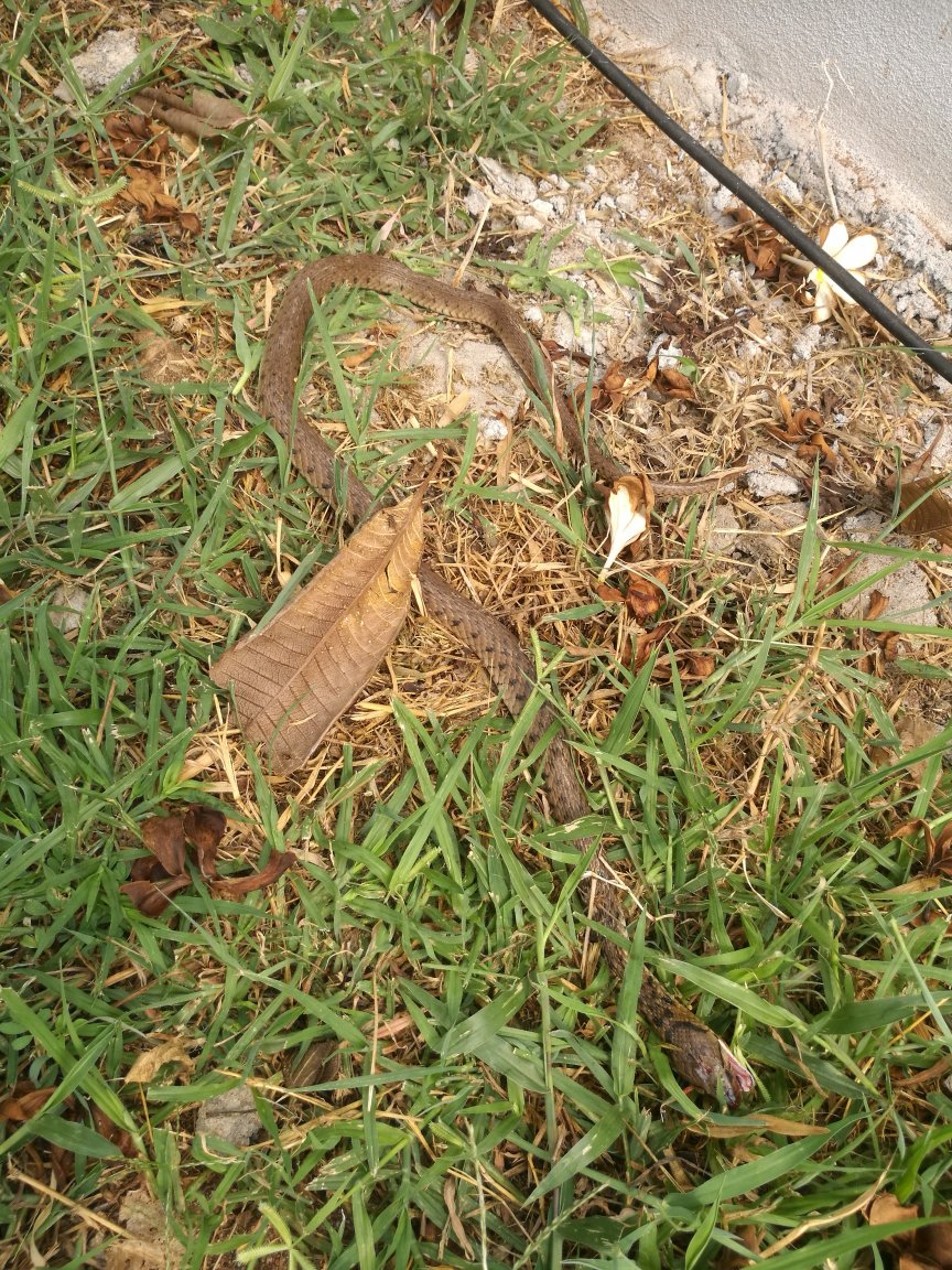 IMG_20180327_100650.jpg