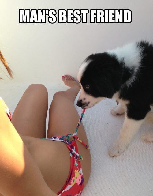 Mans-best-friend.jpg.ee8c718648ce366d542e9728be7b0c95.jpg