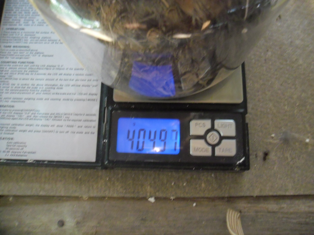 SAM_0005.JPG.606a3a98de5a0709372f8183038c88fe.JPG