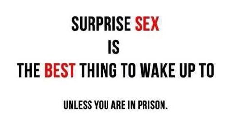 The-best-thing-to-wake-up-to.jpg.d4019fd3235eadd82c856a043ae3ef27.jpg