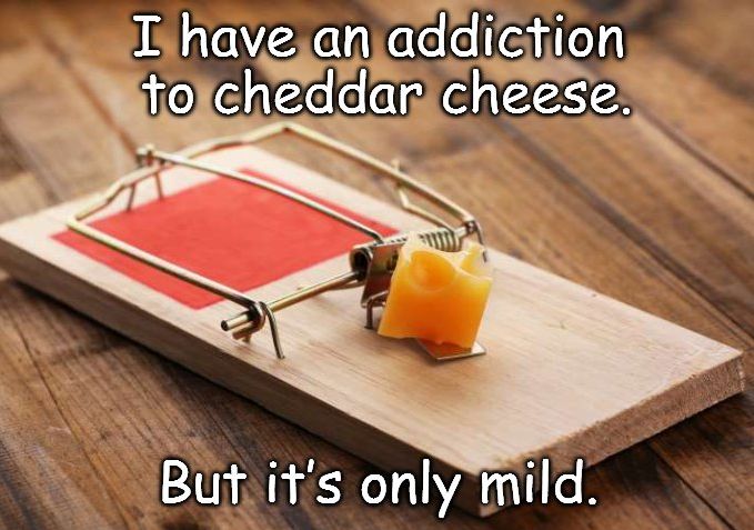 cheese.jpg.62efc5f45ed695a680294631ebc0b83f.jpg