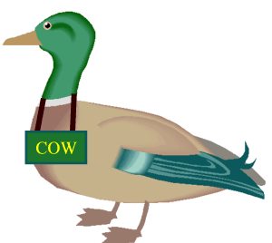 cow.jpg.c4e22d31cd99f829f0120b130312ea18.jpg