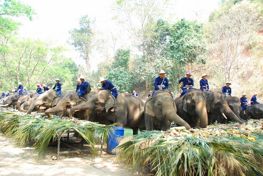 elephant-day.jpg