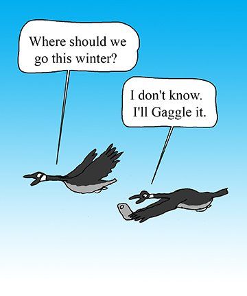 gaggling-it.jpg.76395e0c06350ef8d88341c87c20908d.jpg