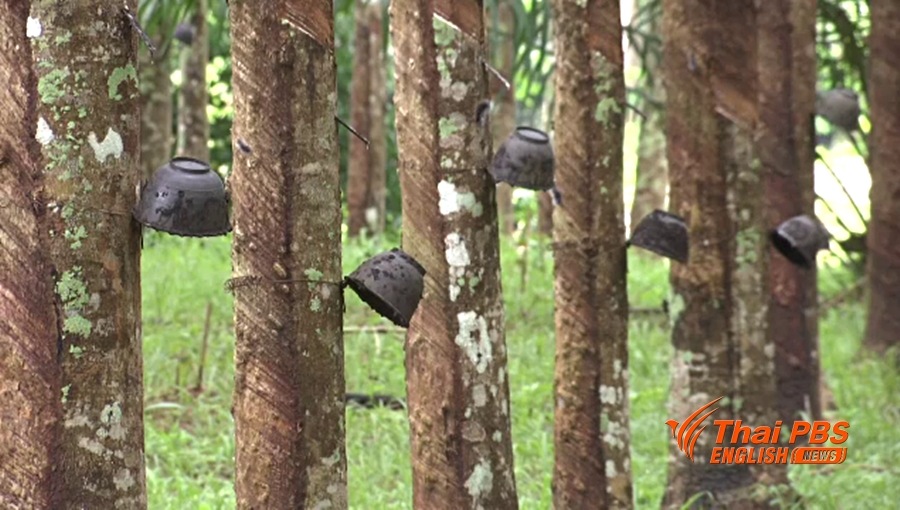 rubber2.jpg