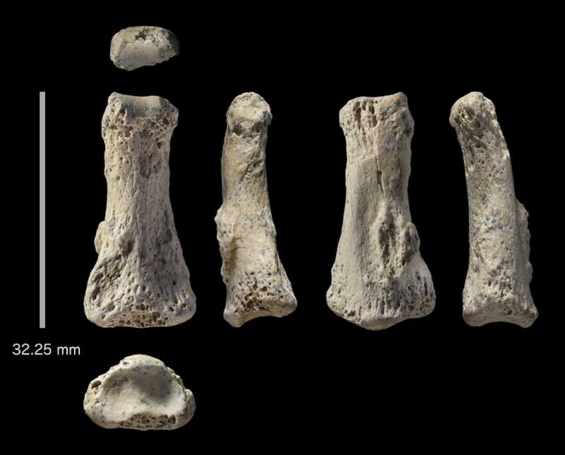 2018-04-10T003018Z_1_LYNXMPEE3900Z_RTROPTP_4_SCIENCE-FINGER.JPG