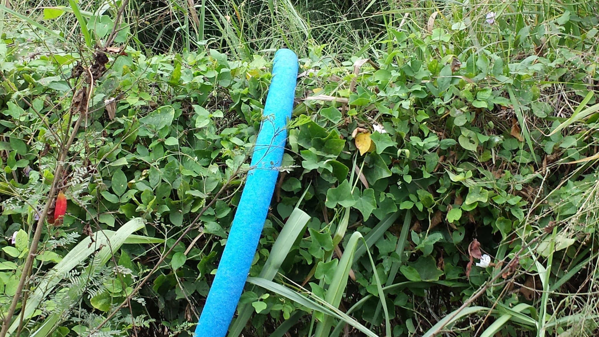 20180223_145157.jpg