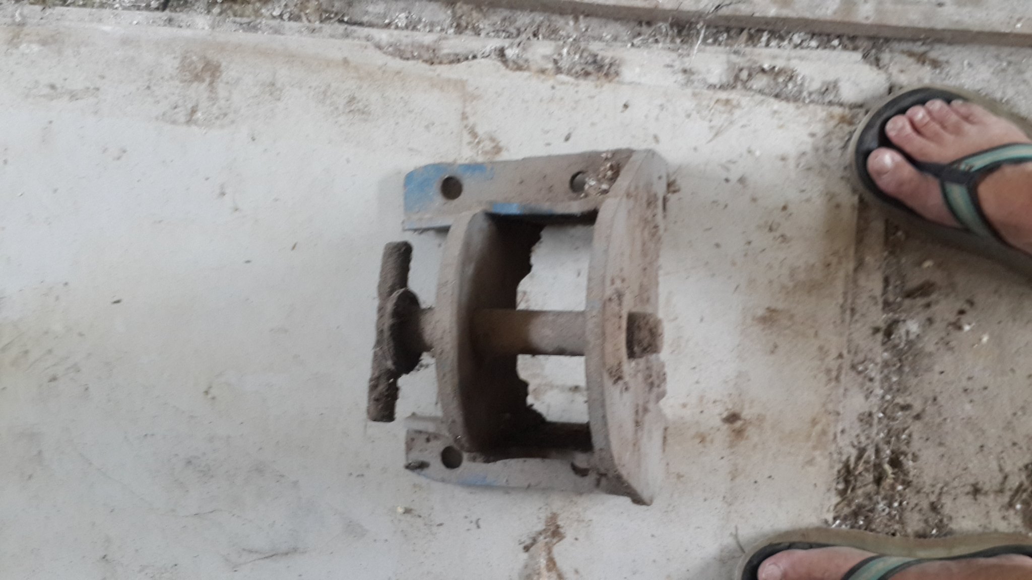 20180405_135711.jpg