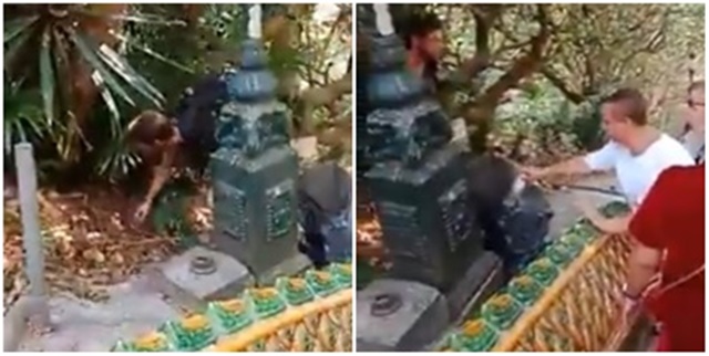 561000004217901.jpg