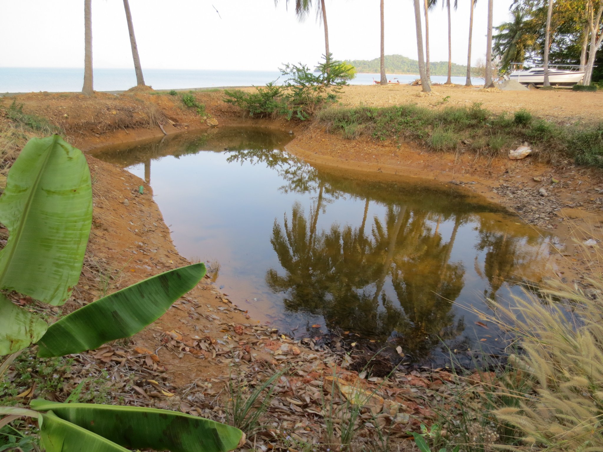 Koh Lanta Lake 010.JPG