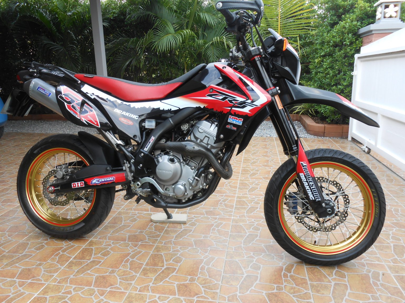 CRF and 500X 002.JPG