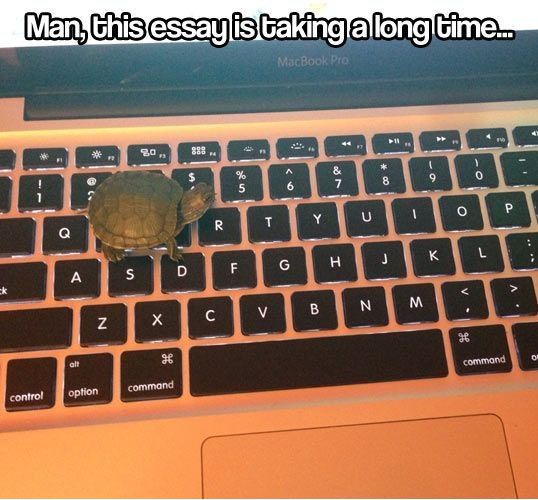 5acc7b316f57c_Its-going-to-take-forever.jpg.23508d637948a36752a43974cb8fe98a.jpg
