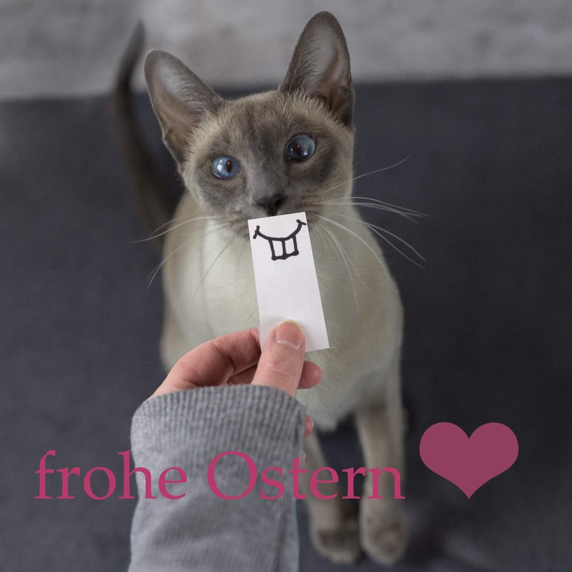 Frohe Ostern.jpg