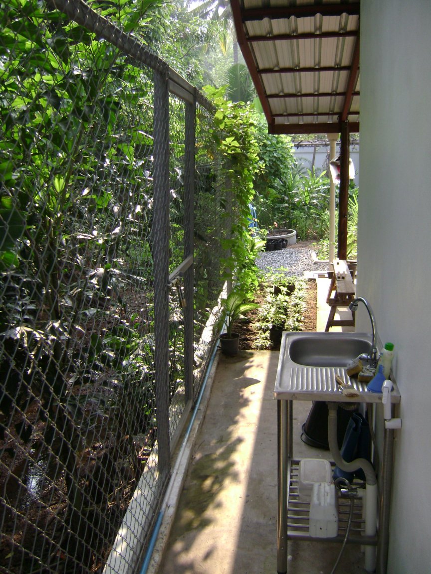 DSC04733.JPG