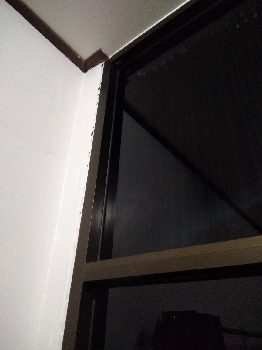 IMG_20180405_160544.jpg