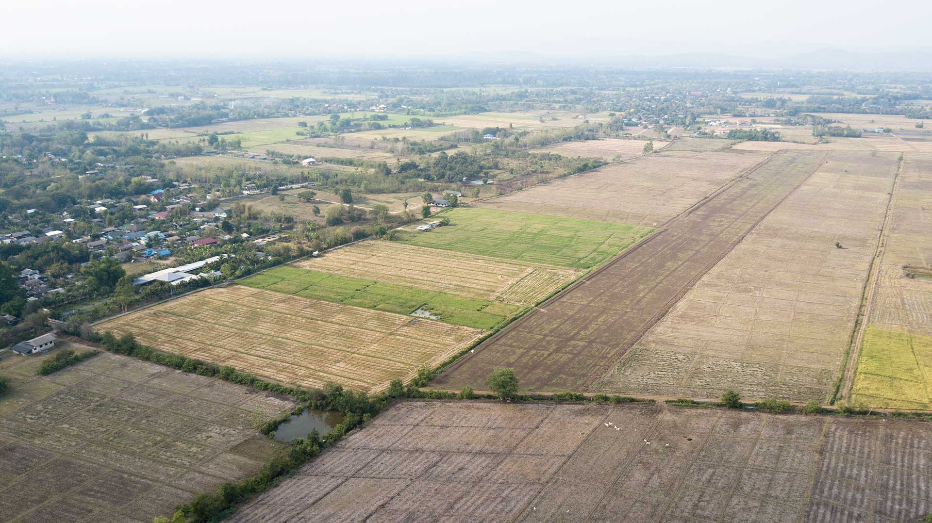 Japanese-Airstrip.jpg.7d6ca923f7364d32ecf6f02abc5373ef.jpg