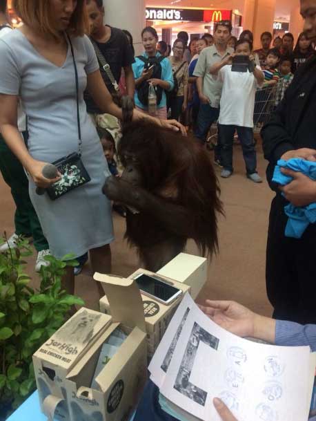 Orangutan-Seacon-Square.jpg