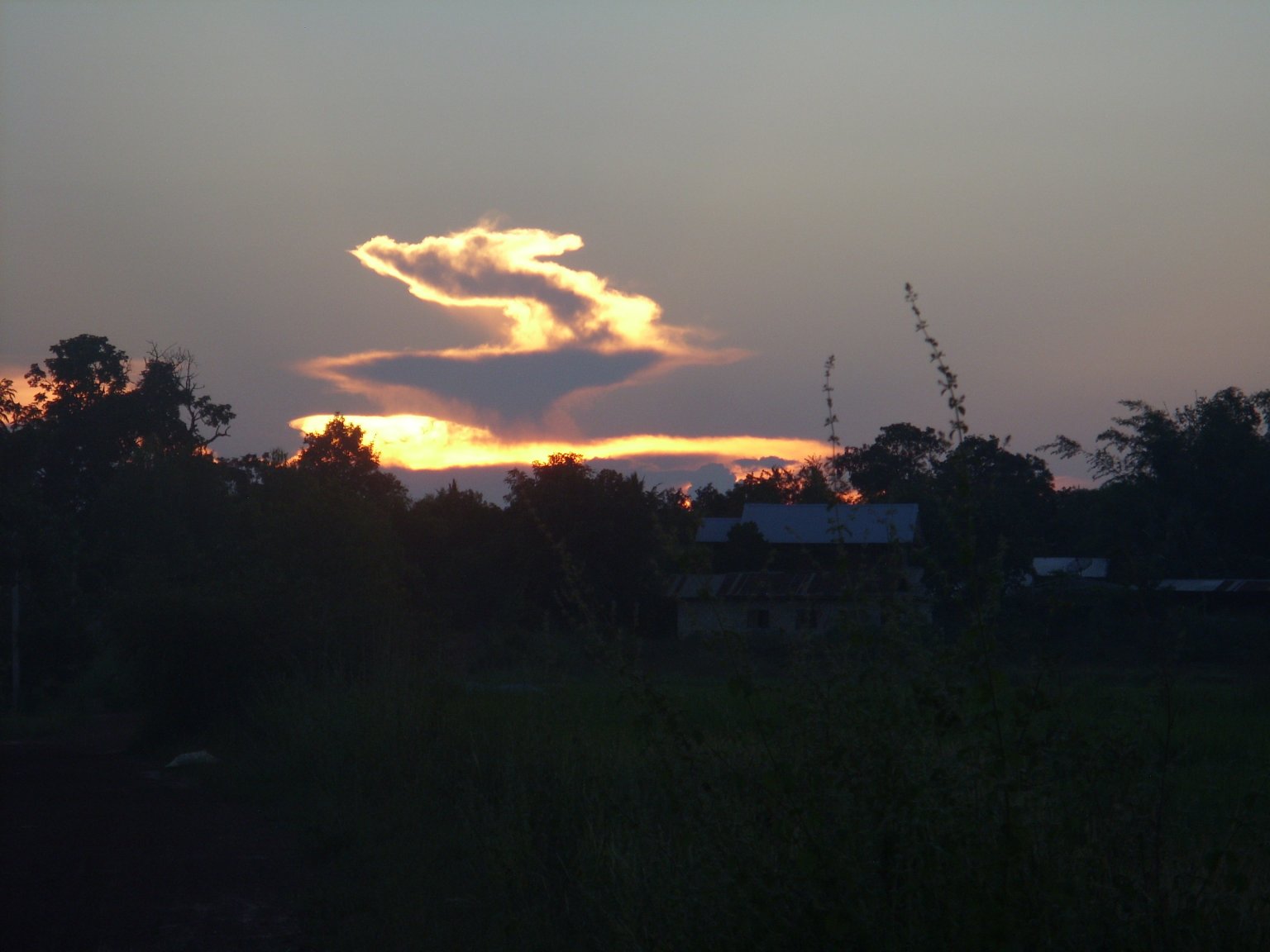SN850437.JPG