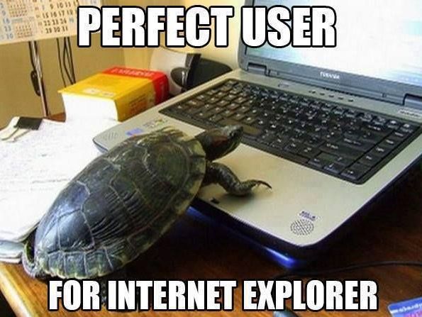 The-perfect-user-for-internet-explorer.jpg.18ee272a418540098cd31d54254f19c6.jpg