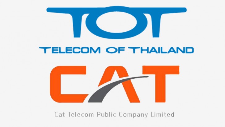 cat_tot-wpcf_728x413.jpg