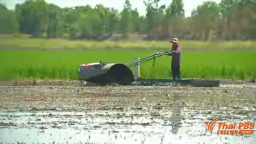 farmer.jpg