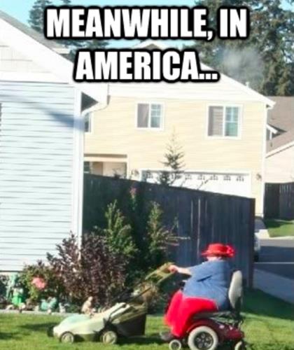 image.jpeg.a8fb9d4dc84f494a66030b4bc2ca8b29.jpeg