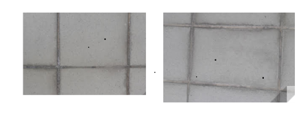 image.png.9270380c0b5b1b4161ff1fd55c33a0da.png