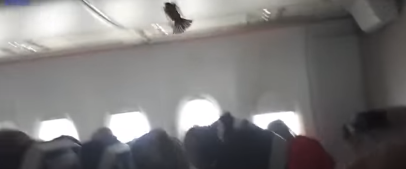 plane.png