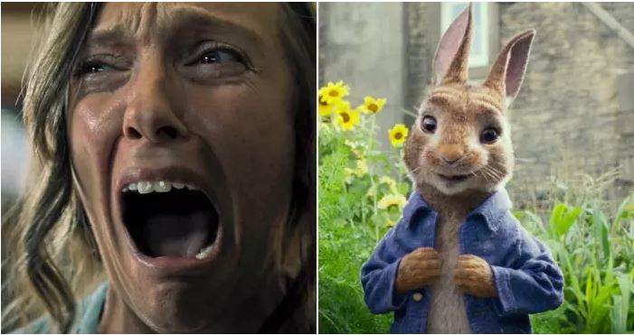 rabbit.JPG
