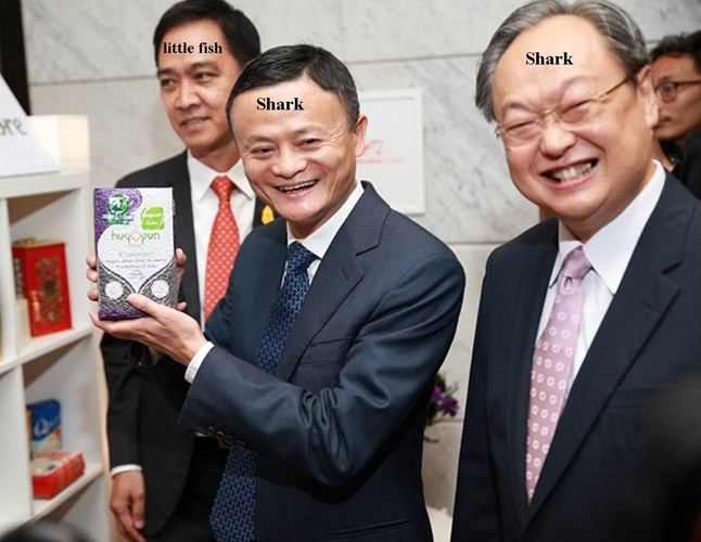sharks.jpg.e4eadc818470320081f26c3bc70f3a3f.jpg