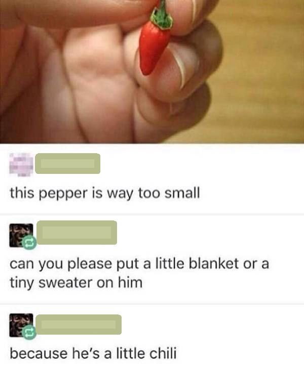 silly-pictures-of-small-pepper-little-chili.jpg.94a4c6bb51c12a04d3ae959bc2fd96f3.jpg