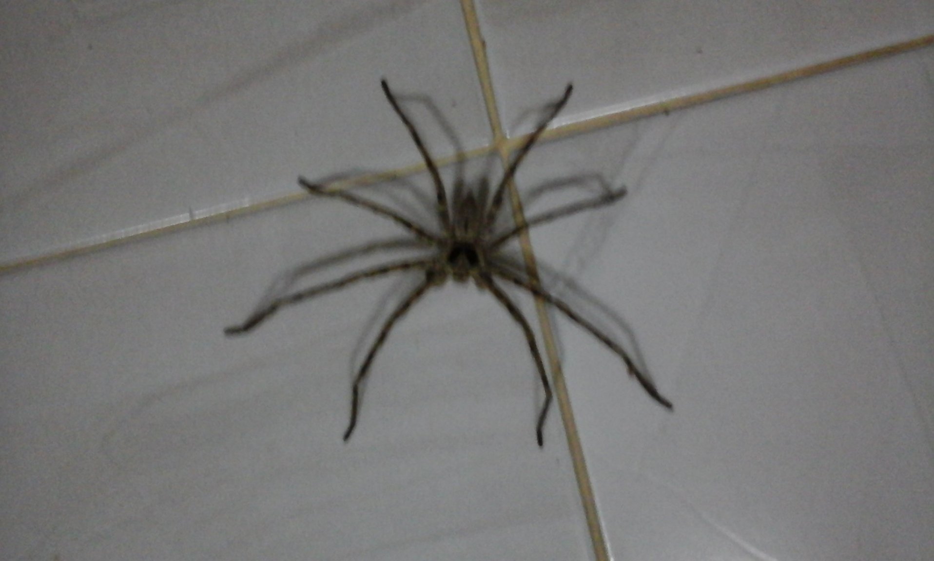 20170223_190905.jpg