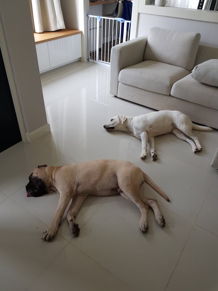 20180501_161029.jpg