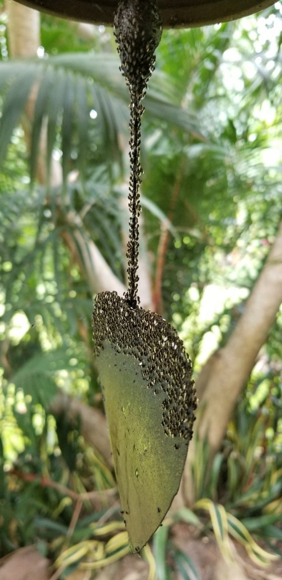 20180511_092804.jpg