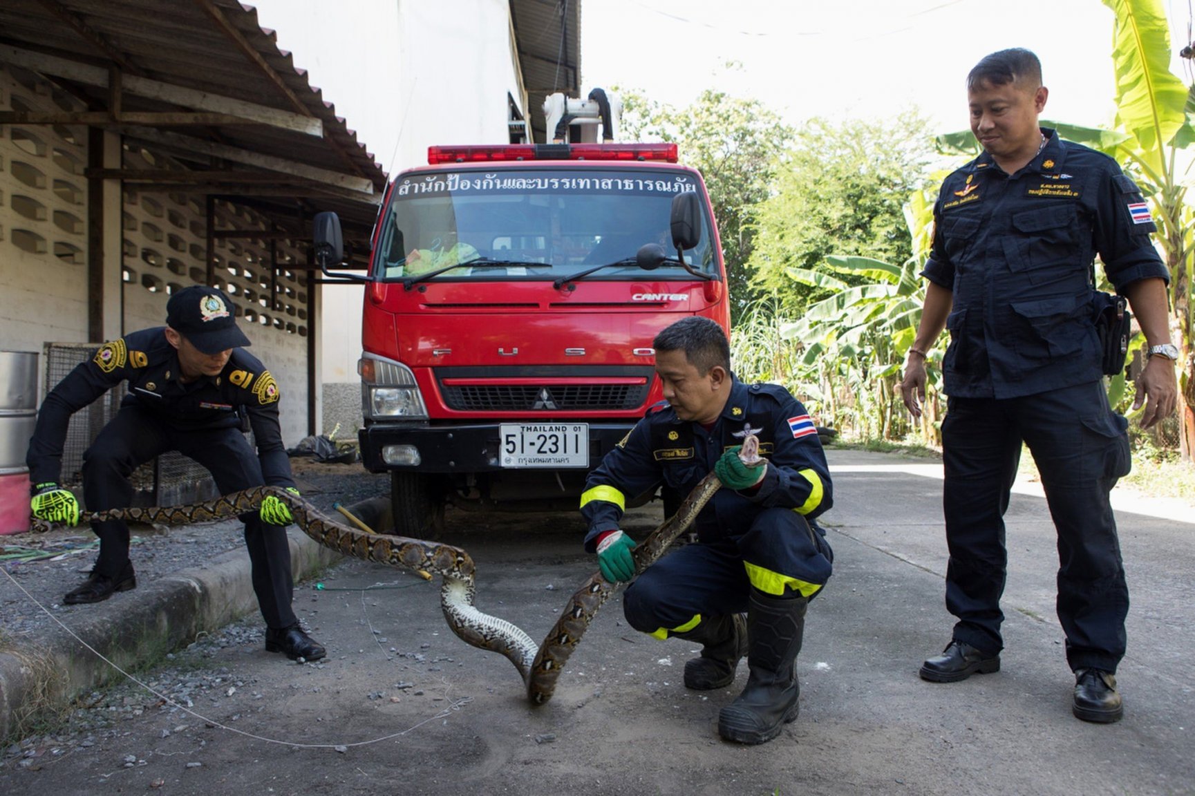 27bangkok-snakes-1sub-superJumbo.jpg