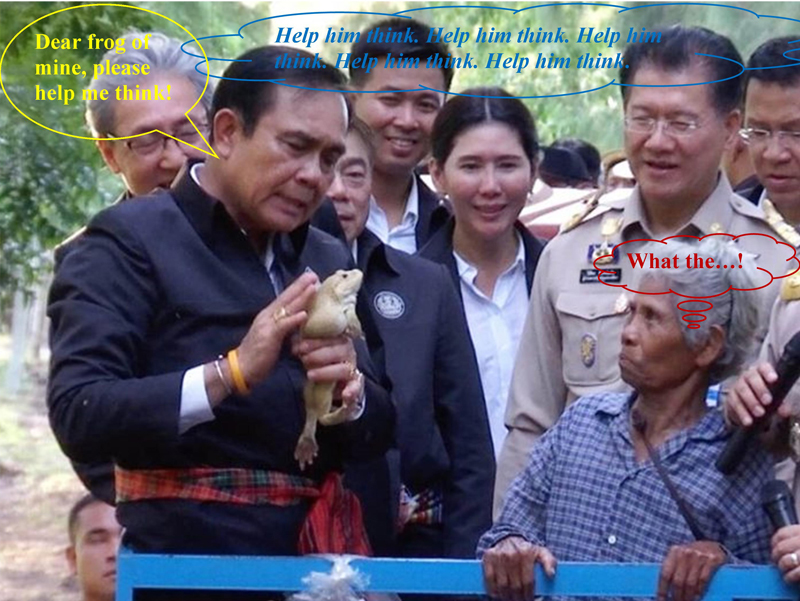 5ae7d45020019_NewMicrosoftPublisherDocument.jpg.e93db98c878dda759b9b9093fa1833cb.jpg