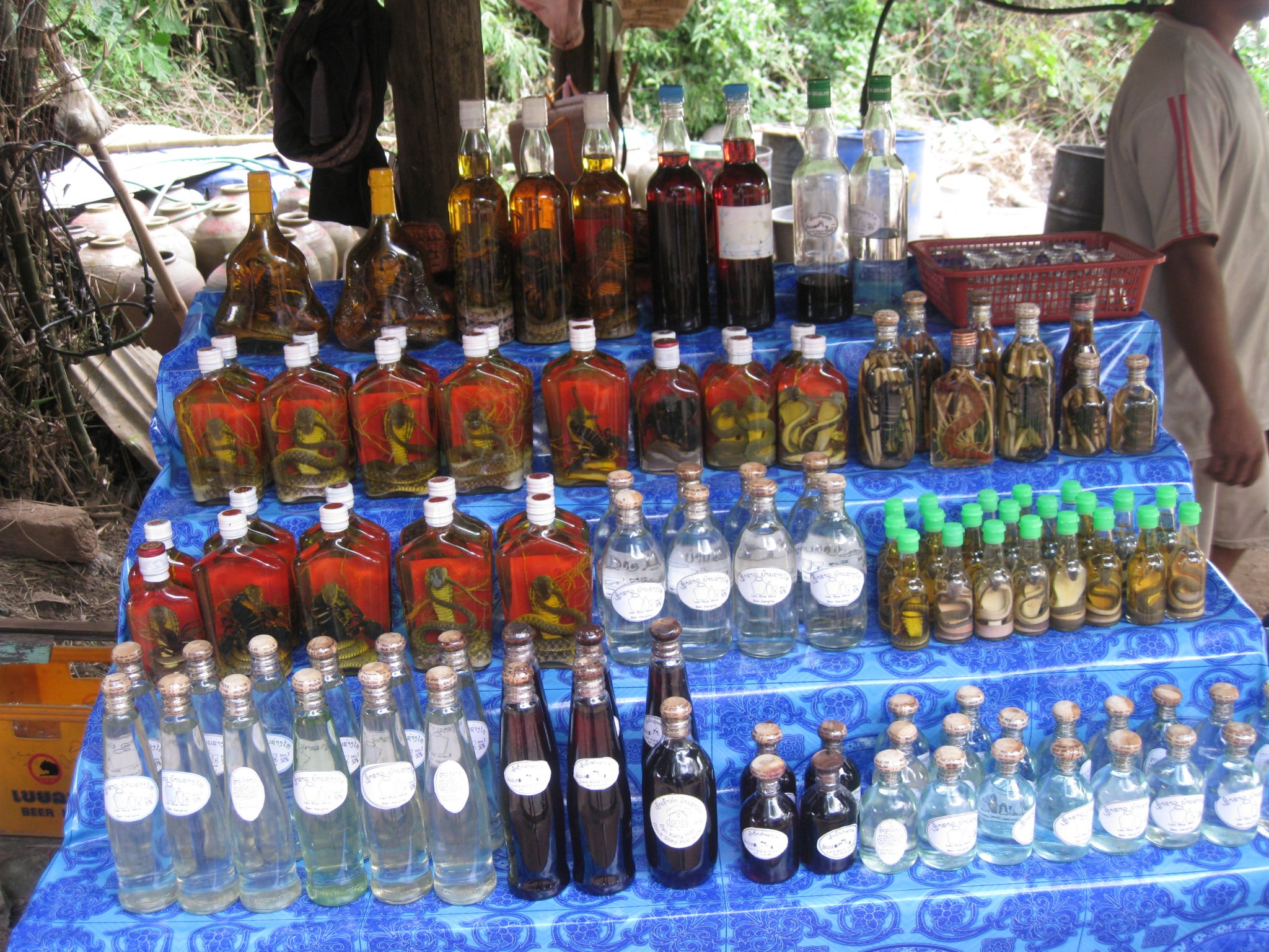 Luang Prabang Oct 2014 117.JPG