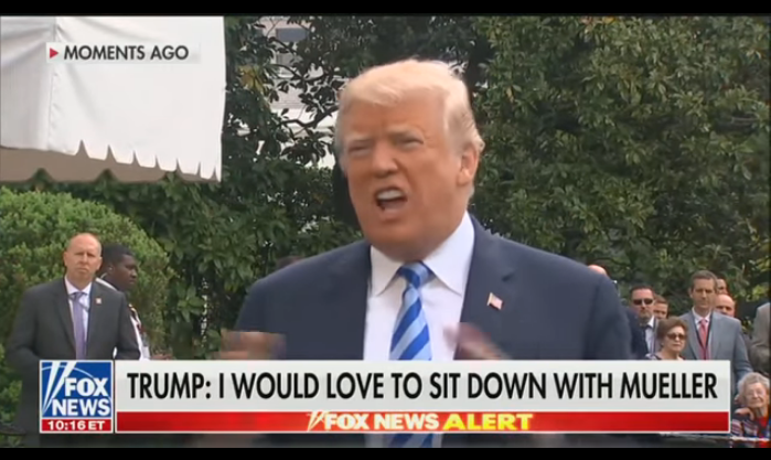 5aec810ba1e9e_lovetositwithmueller.png.e193d1771dc5a2c800ac49ea908a1441.png