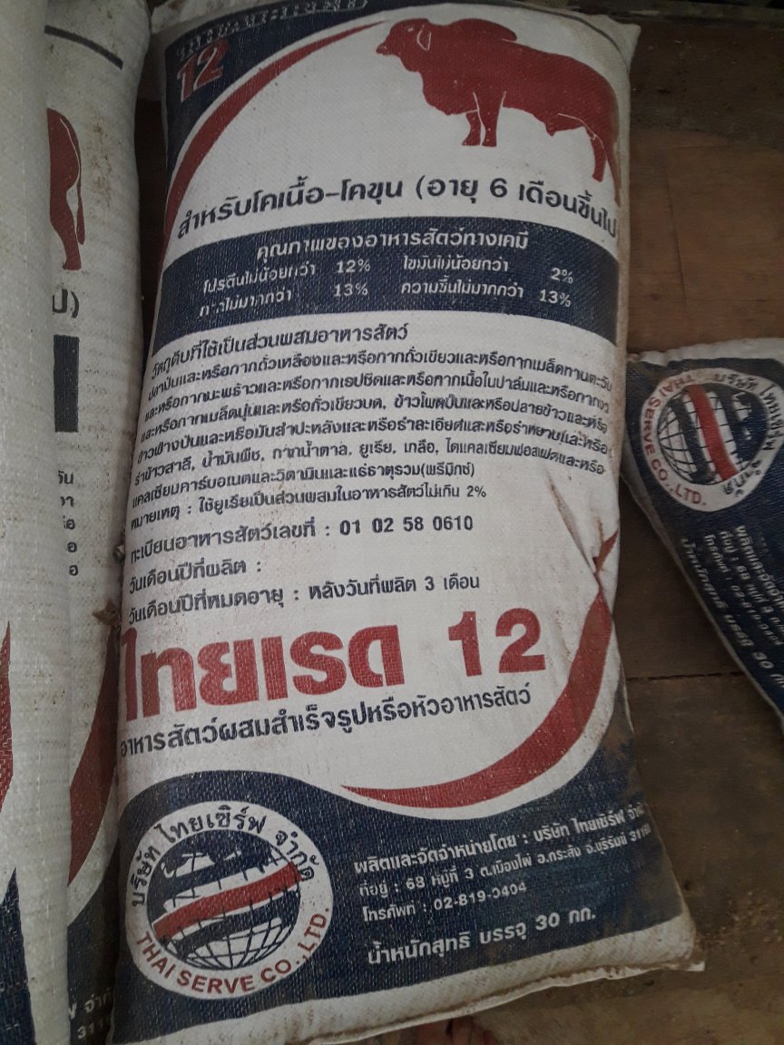 cowfood 2018.jpg