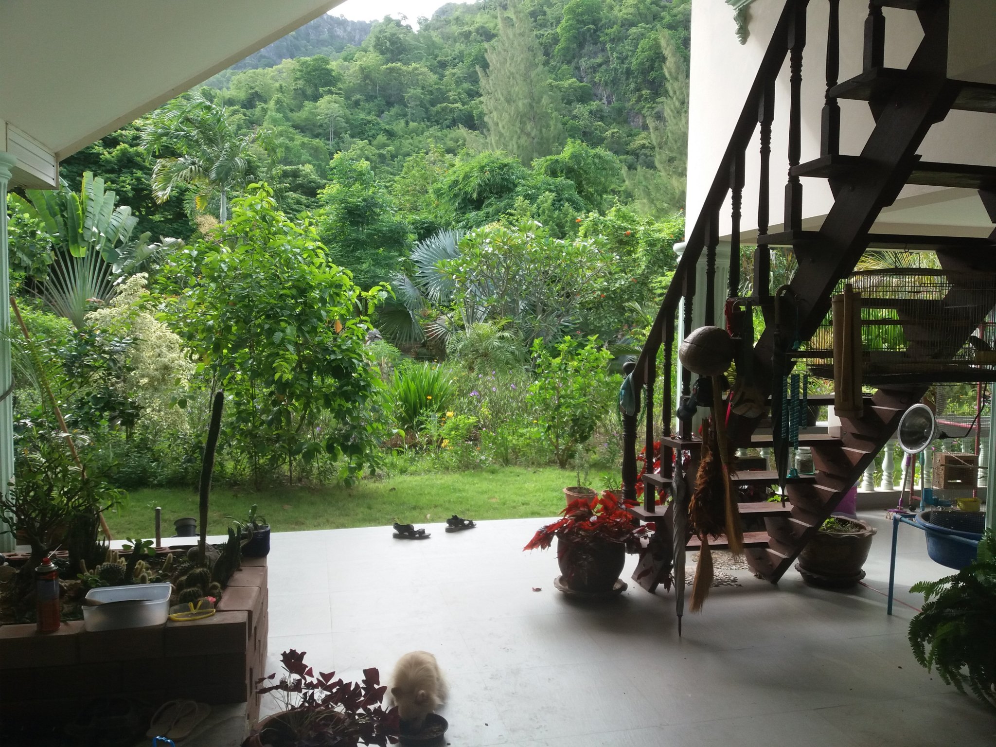 20170610_080259 (1).jpg