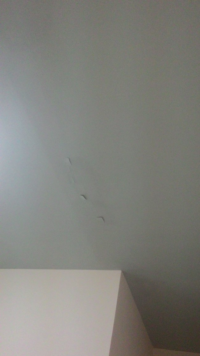 inside ceiling  2.jpg